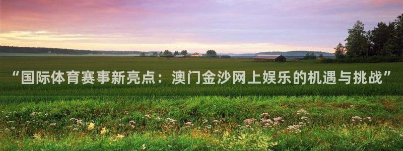 NG大舞台：“国际体育赛事新亮点：澳门金沙网上娱乐的机遇与挑战”