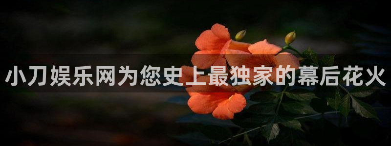 南宫大舞台：小刀娱乐网为您史上最独家的幕后花火