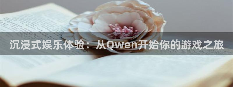 NG大舞台：沉浸式娱乐体验：从Qwen开始你的游戏之旅