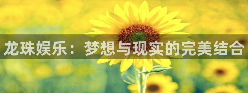 NG大舞台：龙珠娱乐：梦想与现实的完美结合