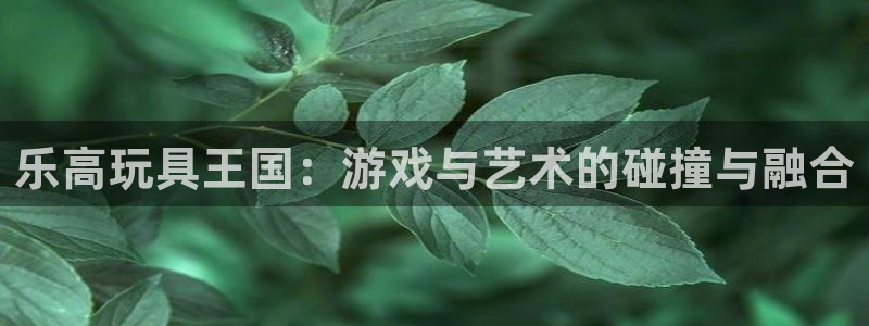 南宫大舞台官网入口：乐高玩具王国：游戏与艺术的碰撞与融合