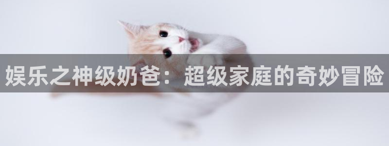 南宫大舞台官网入口：娱乐之神级奶爸：超级家庭的奇妙冒险