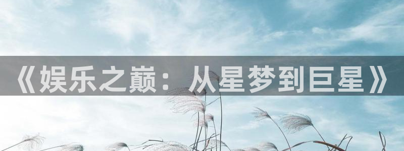 NG大舞台：《娱乐之巅：从星梦到巨星》