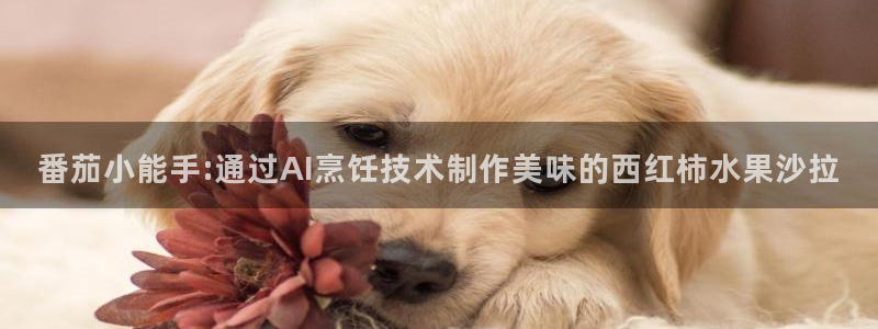 南宫大舞台官网入口：番茄小能手:通过AI烹饪技术制作美味的西红柿水果沙拉