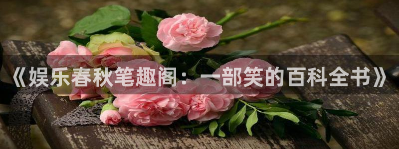 南宫大舞台：《娱乐春秋笔趣阁：一部笑的百科全书》